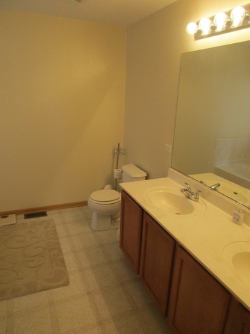 14502 Independence Dr, Plainfield, IL 60544 photo 11