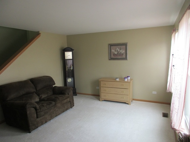 14502 Independence Dr, Plainfield, IL 60544 photo 6