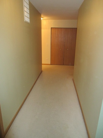14502 Independence Dr, Plainfield, IL 60544 photo 20