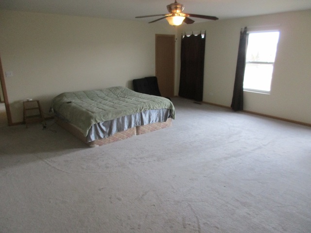 14502 Independence Dr, Plainfield, IL 60544 photo 9