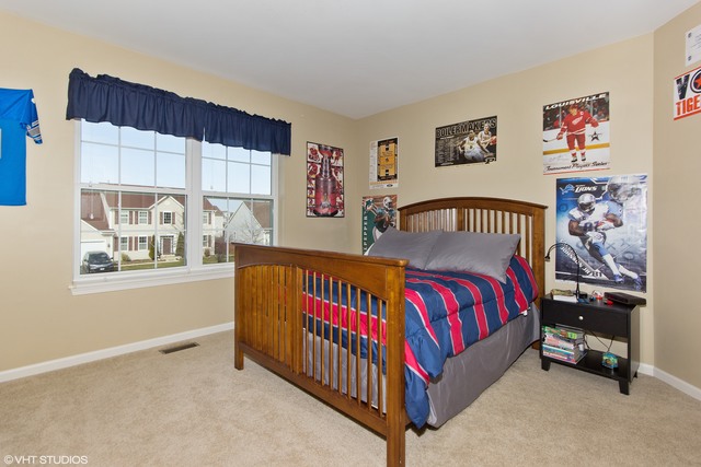 13701 Marigold Rd, Plainfield, IL 60544 photo 17