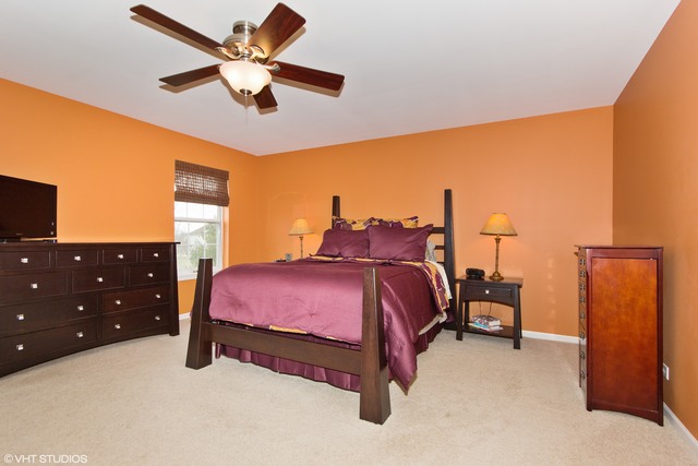 13701 Marigold Rd, Plainfield, IL 60544 photo 13