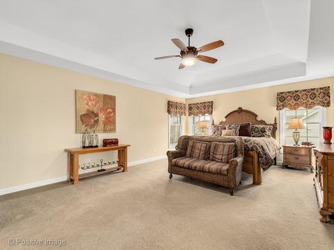 14118 Chalk Hill Rd, Plainfield, IL 60544 photo 16