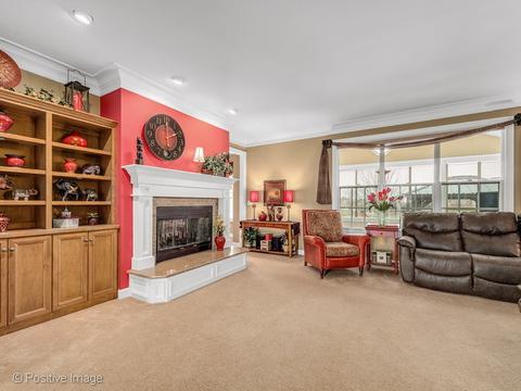 14118 Chalk Hill Rd, Plainfield, IL 60544 photo 7