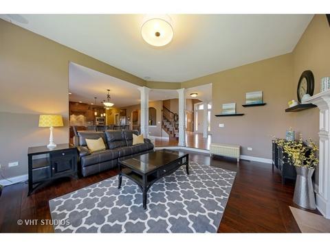 12912 Peppertree Dr, Plainfield, IL 60585 photo 3