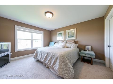 12912 Peppertree Dr, Plainfield, IL 60585 photo 18