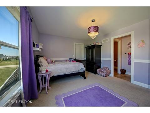 12912 Peppertree Dr, Plainfield, IL 60585 photo 19