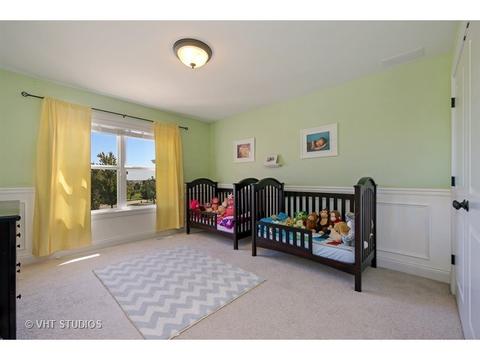 12912 Peppertree Dr, Plainfield, IL 60585 photo 20