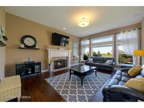 12912 Peppertree Dr, Plainfield, IL 60585 photo 4