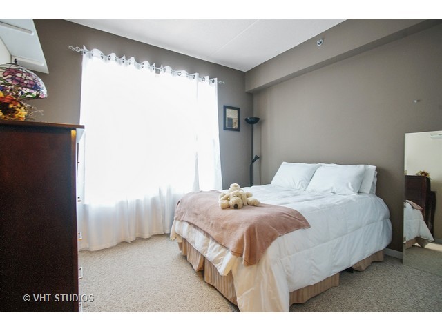 3135 Town Square Dr #308, Rolling Meadows, IL 60008 photo 7