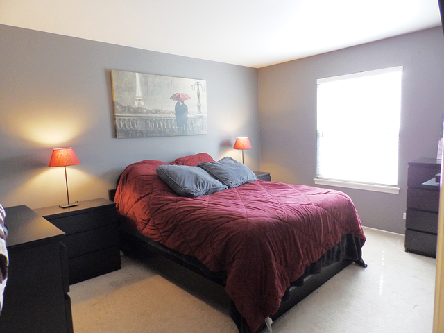 746 Candleridge Ct #B1, Bartlett, IL 60103 photo 9