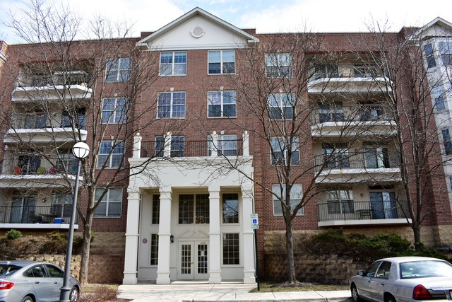 3115 Town Square Dr #403, Rolling Meadows, IL 60008 photo 1