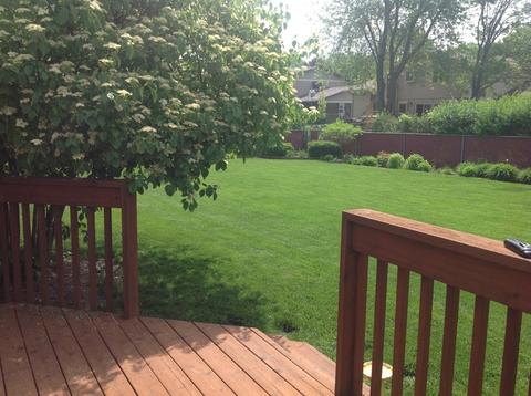 467 E Cunningham Dr, Palatine, IL 60074 photo 5