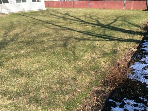 467 E Cunningham Dr, Palatine, IL 60074 photo 6