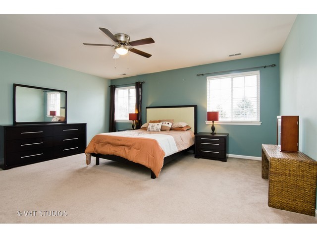 13 Clara Ct, Algonquin, IL 60102 photo 7
