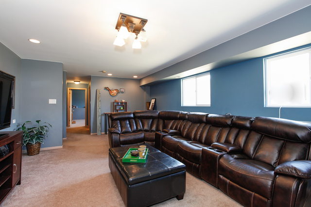 2217 Timber Trl, Plainfield, IL 60586 photo 10