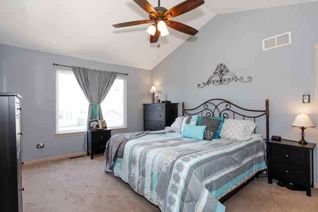 2217 Timber Trl, Plainfield, IL 60586 photo 11