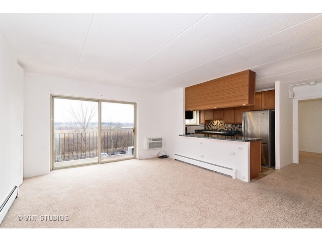 576 Fairway View Dr #3E, Wheeling, IL 60090 photo 4