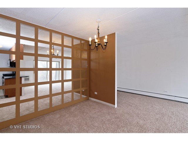 576 Fairway View Dr #3E, Wheeling, IL 60090 photo 5
