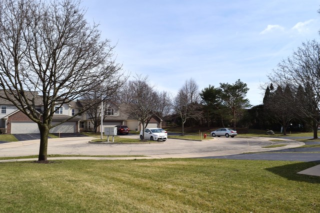 882 Dandridge Ct, Elgin, IL 60120 photo 21