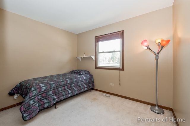 1002 S Prospect St, Wheaton, IL 60189 photo 17