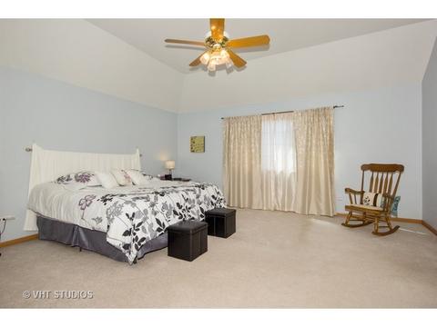 6300 Sequoia Ct, Plainfield, IL 60586 photo 10