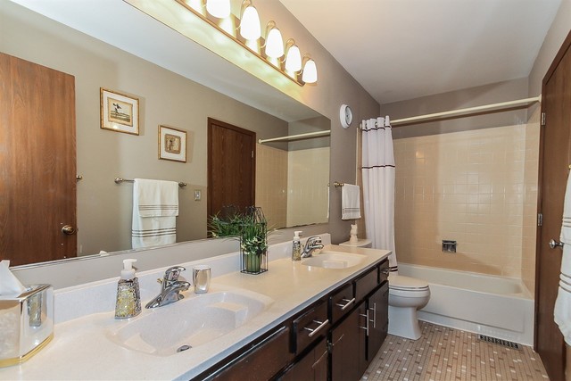 1008 Struckman Blvd, Bartlett, IL 60103 photo 18