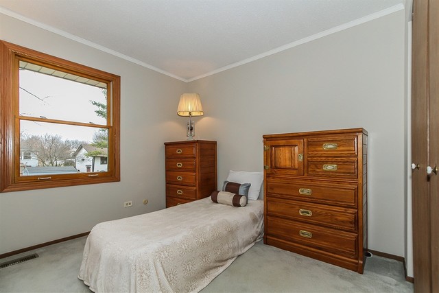 1008 Struckman Blvd, Bartlett, IL 60103 photo 15