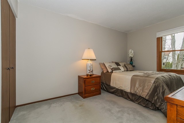 1008 Struckman Blvd, Bartlett, IL 60103 photo 16