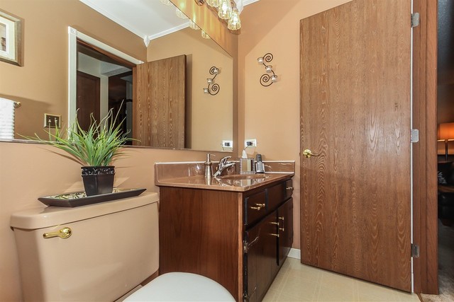 1008 Struckman Blvd, Bartlett, IL 60103 photo 20