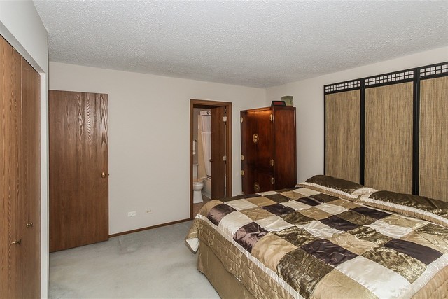1008 Struckman Blvd, Bartlett, IL 60103 photo 14
