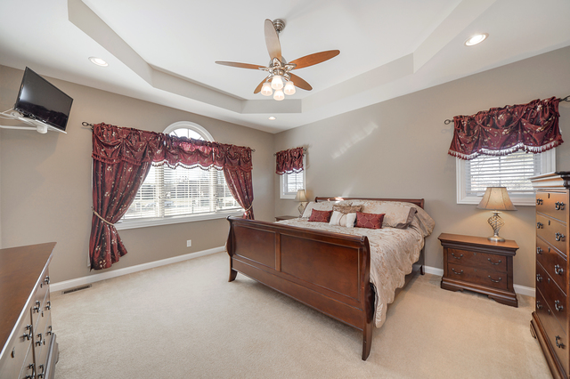 12533 Mitchell Dr, Plano, IL 60545 photo 12