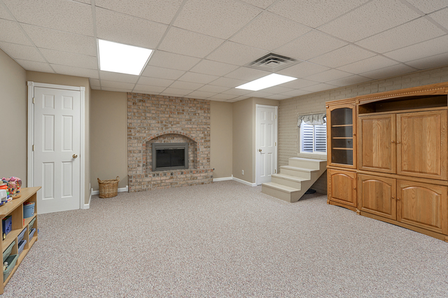 12533 Mitchell Dr, Plano, IL 60545 photo 19