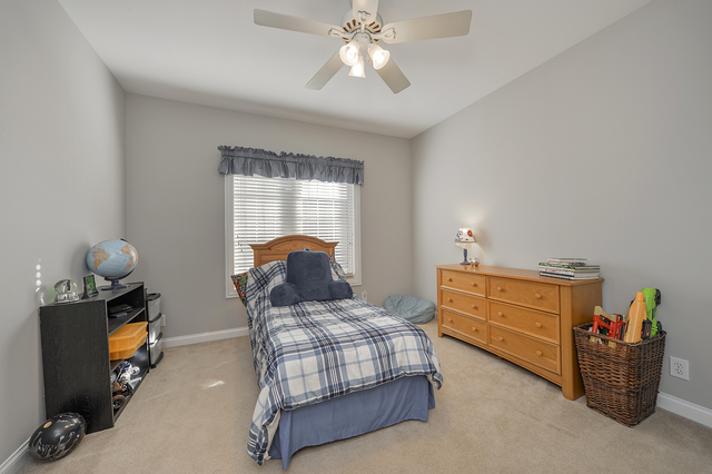 12533 Mitchell Dr, Plano, IL 60545 photo 15