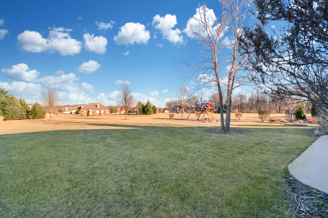 12533 Mitchell Dr, Plano, IL 60545 photo 24