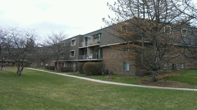 214 E Bailey Rd #H, Naperville, IL 60565 photo 6