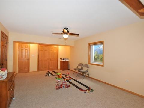 25317 S Tuscany Dr E, Monee, IL 60449 photo 17