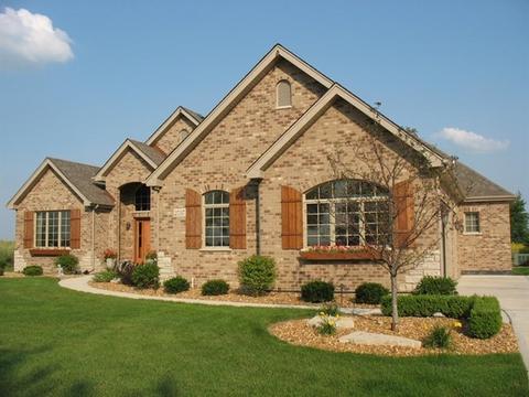 25317 S Tuscany Dr E, Monee, IL 60449 photo 4