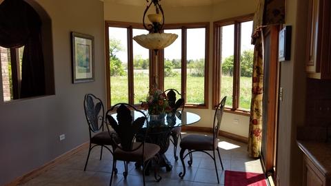 25317 S Tuscany Dr E, Monee, IL 60449 photo 10