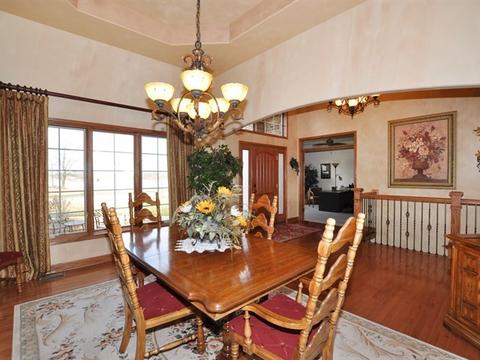25317 S Tuscany Dr E, Monee, IL 60449 photo 6