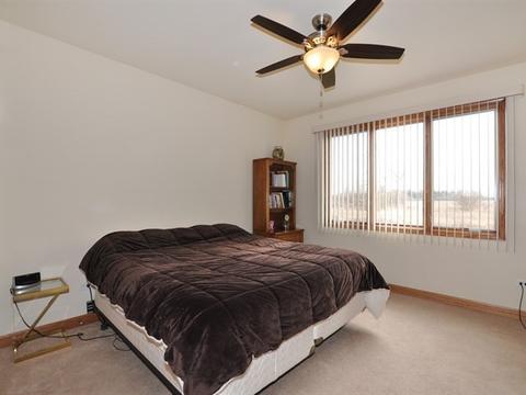 25317 S Tuscany Dr E, Monee, IL 60449 photo 15
