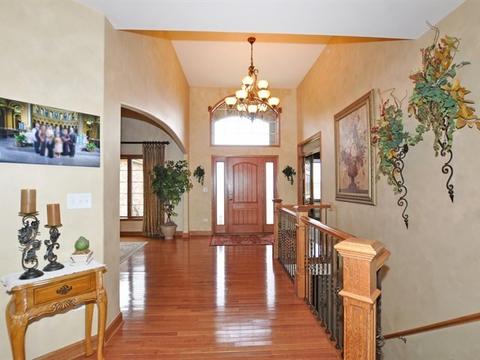 25317 S Tuscany Dr E, Monee, IL 60449 photo 5