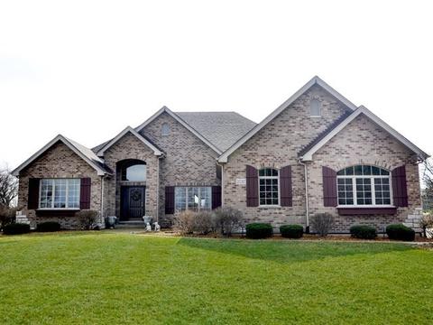 25317 S Tuscany Dr E, Monee, IL 60449 photo 1