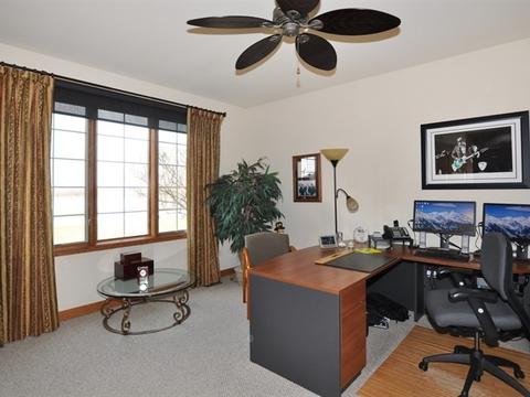 25317 S Tuscany Dr E, Monee, IL 60449 photo 12