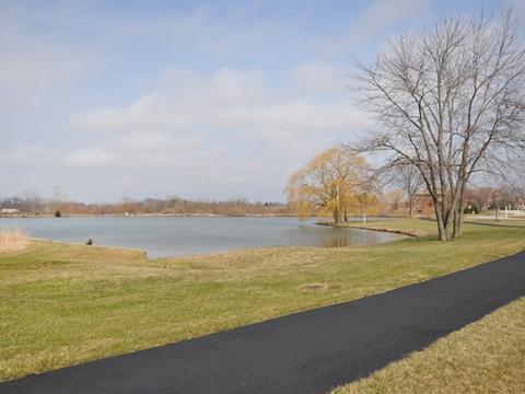 25317 S Tuscany Dr E, Monee, IL 60449 photo 24