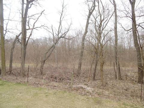 3720 E Flagg Rd, Ashton, IL 61006 photo 18