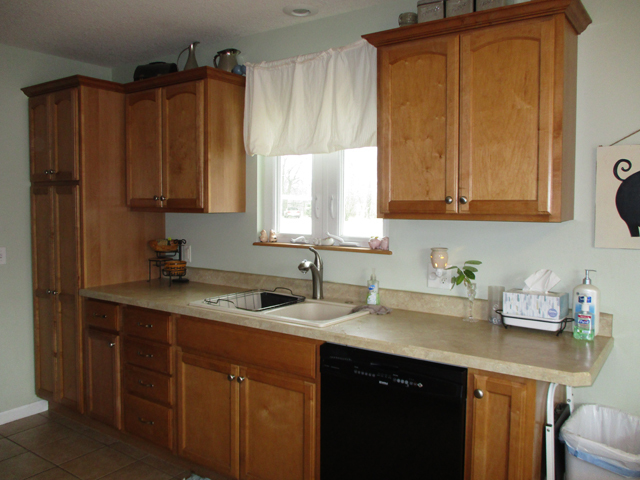 206 W Walnut St, Walnut, IL 61376 photo 6