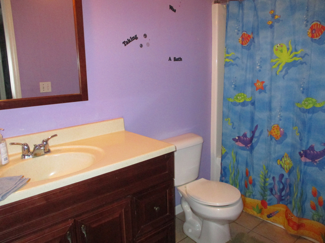 206 W Walnut St, Walnut, IL 61376 photo 12