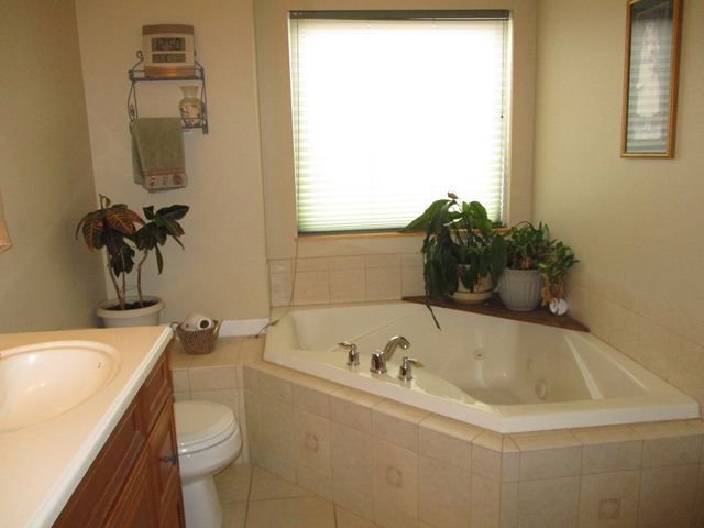 206 W Walnut St, Walnut, IL 61376 photo 11
