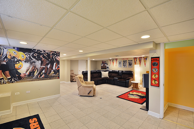 1723 Whitcomb Ave, Des Plaines, IL 60018 photo 14